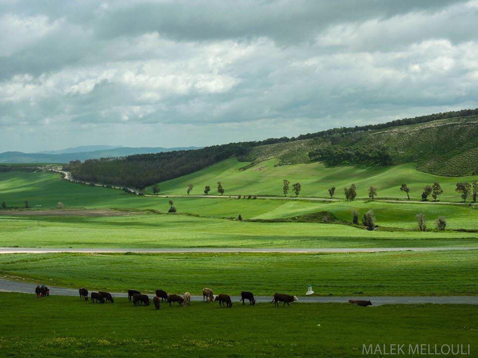Complexe de Jeunes de Béja